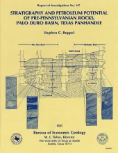 Stratigraphy and petroleum potential of pre-Pennsylvanian rocks, Palo Duro basin, Texas panhandle