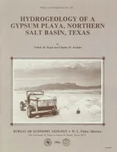 Hydrogeology of a gypsum playa, northern Salt Basin, Texas