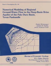 Numerical modeling of regional ground-water flow in the deep-basin brine aquifer of the Palo Duro Basin, Texas panhandle