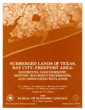 Submerged lands of Texas, Bay City - Freeport area:  sediments, geochemistry, benthic macroinvertebrates, and associated wetlands