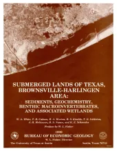 Submerged lands of Texas, Brownsville - Harlingen area:  sediments, geochemistry, benthic macroinvertebrates, and associated wetlands