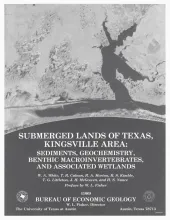 Submerged lands of Texas, Kingsville area:  sediments, geochemistry, benthic macroinvertebrates, and associated wetlands