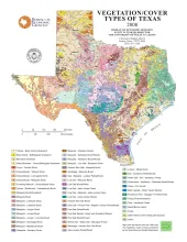 Vegetation/Cover Types of Texas
