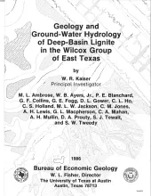 Geology and Ground-Water Hydrology of Deep-Basin Lignite in the Wilcox Group of East Texas