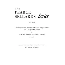 Development of Terminal Buds in Pinyon Pine and Douglas-fir Trees