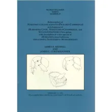 Redescription of Schizomus crassicaudatus (Pickard-Cambridge) and Diagnoses of