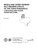 Middle and Upper Permian salt-bearing strata of the Texas panhandle:  lithologic and facies cross sections