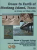 Down to Earth at Mustang Island, Texas