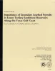 Importance of Secondary Leached Porosity in Lower Tertiary Sandstone Reservoirs along the Texas Gulf Coast