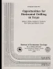 Opportunities for Horizontal Drilling in Texas