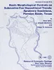 Basin morphological controls on submarine-fan depositional trends:  Spraberry Sandstone, Permian Basin, Texas