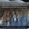 Shelf Margin Deltas and Linked Down Slope Petroleum Systems
