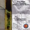 Deep-Water Core Workshop, Northern Gulf of Mexico, 2002. CD-ROM