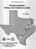 Texas lignite -- status and outlook to 2000
