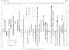 Correlation of Cambrian Rocks in Central Texas