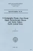 A stratigraphic datum, Cisco Group (Upper Pennsylvanian), Brazos and Trinity valleys, north-central Texas