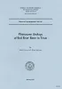 Pleistocene geology of Red River basin in Texas