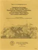 Catahoula Formation of the Texas coastal plain:  depositional systems, composition, structural development, ground-water flow history, and uranium distribution