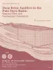 Deep brine aquifers in the Palo Duro basin:  regional flow and geochemical constraints