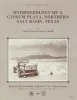 Hydrogeology of a gypsum playa, northern Salt Basin, Texas