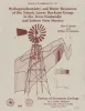 Hydrogeochemistry and water resources of the Triassic lower Dockum Group in the Texas panhandle and eastern New Mexico