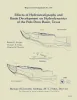 Effects of hydrostratigraphy and basin development on hydrodynamics of the Palo Duro Basin, Texas