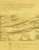 Lithostratigraphy and paleoenvironments of Upper Paleozoic continental red beds, north-central Texas:  Bowie (new) and Wichita (revised) Groups