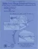 Middle-Upper Miocene depositional sequences of the Texas coastal plain and continental shelf:  geologic framework, sedimentary facies, and hydrocarbon plays