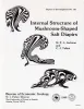 Internal Structure of Mushroom-Shaped Salt Diapirs
