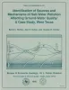 Identification of sources and mechanisms of salt-water pollution affecting ground-water quality:  a case study, West Texas