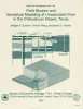 Field studies and numerical modeling of unsaturated flow in the Chihuahuan Desert, Texas