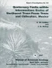 Quaternary faults within intermontane basins of northwest Trans-Pecos Texas and Chihuahua, Mexico