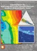 Lithofacies of the Wolfcamp and Lower Leonard Intervals, Southern Midland Basin