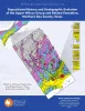 Depositional History and Stratigraphic Evolution of the Upper Wilcox Group and Reklaw Formation, Northern Bee County, Texas