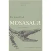 The Onion Creek Mosasaur